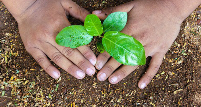 World Environment Day: How companies across AM International are fostering a sustainable future